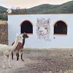 Experience Alpacas In Andalucia Casa rural *