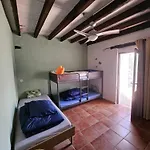 Experience Alpacas In Andalucia *