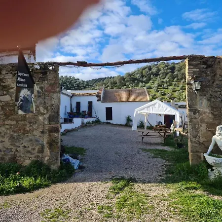 Apartamento Experience Alpacas In Andalucia
