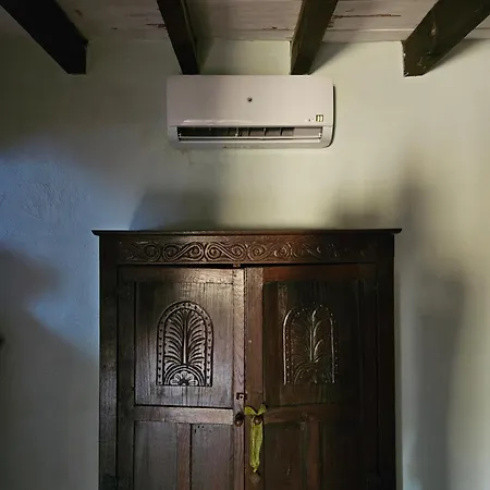 Experience Alpacas In Andalucia *