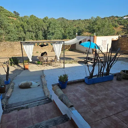 Experience Alpacas In Andalucia Casa rural Córdoba