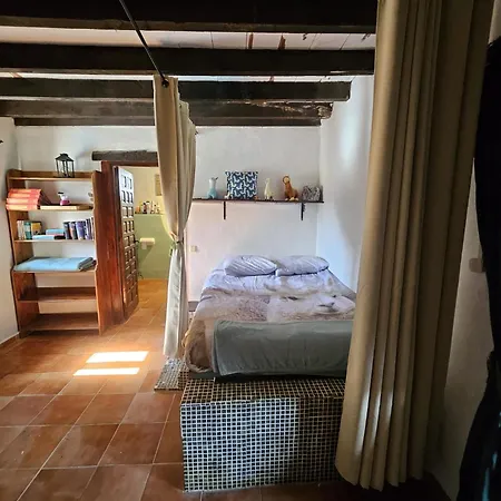 Casa de Campo Experience Alpacas In Andalucia