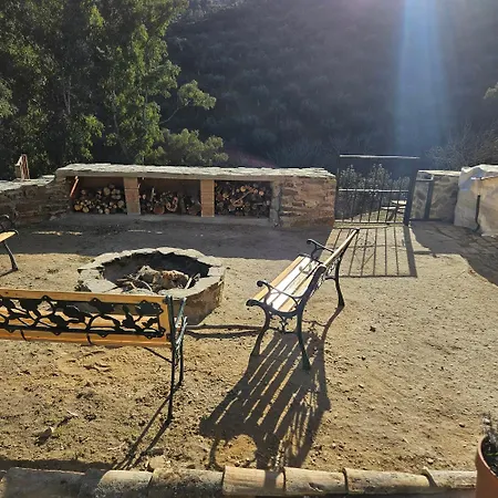 Experience Alpacas In Andalucia *