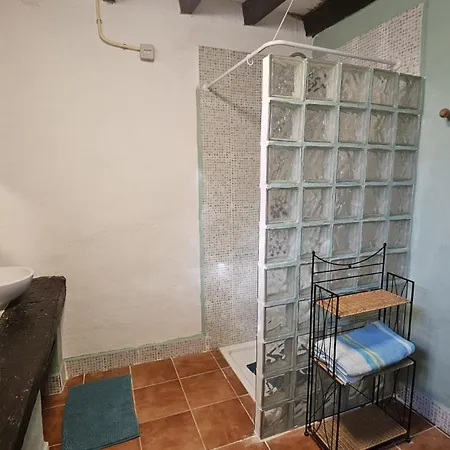 Experience Alpacas In Andalucia *