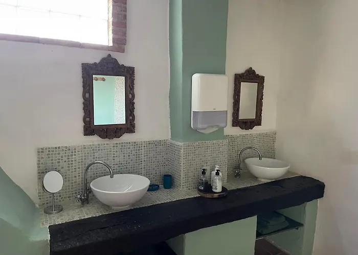 Experience Alpacas In Andalucia * Córdoba