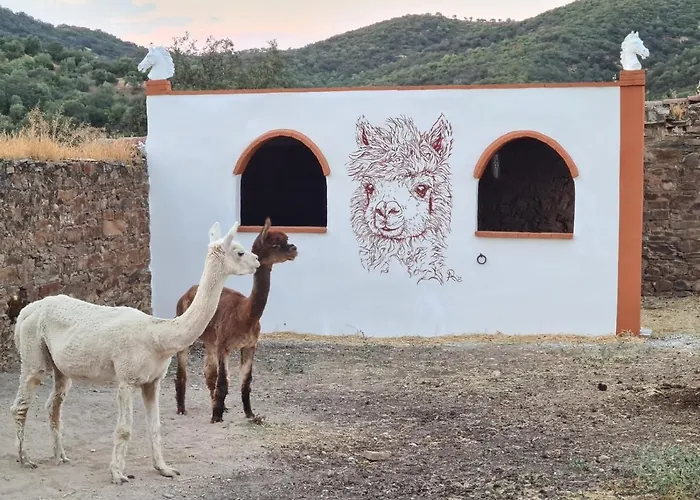 Experience Alpacas In Andalucia Landhaus *