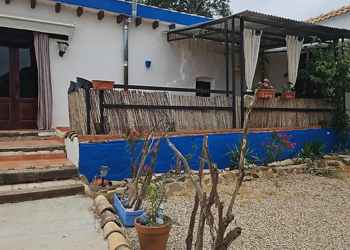 컨트리하우스 Experience Alpacas In Andalucia 코르도바