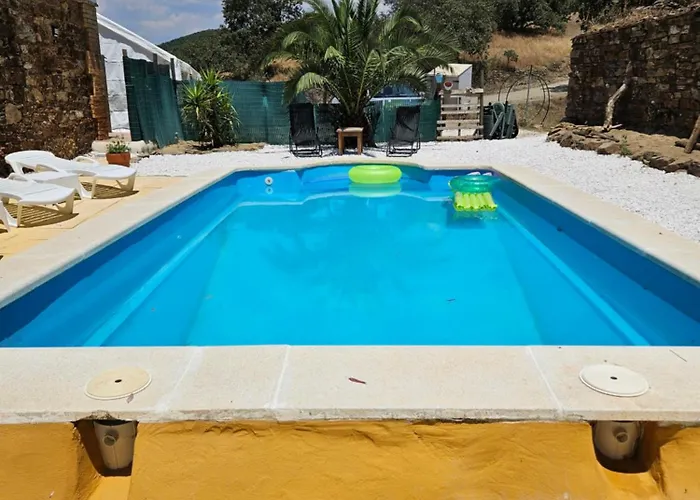 Experience Alpacas In Andalucia