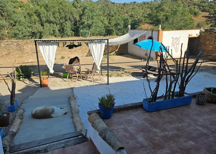 Experience Alpacas In Andalucia Hétvégi ház Córdoba