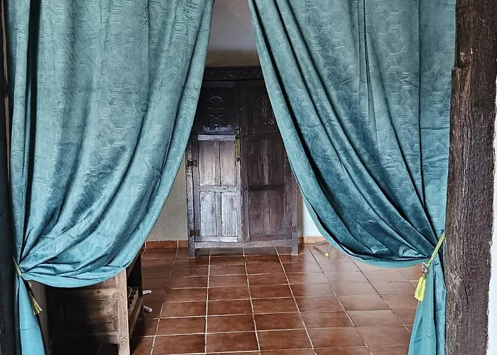 Experience Alpacas In Andalucia Landhaus Córdoba