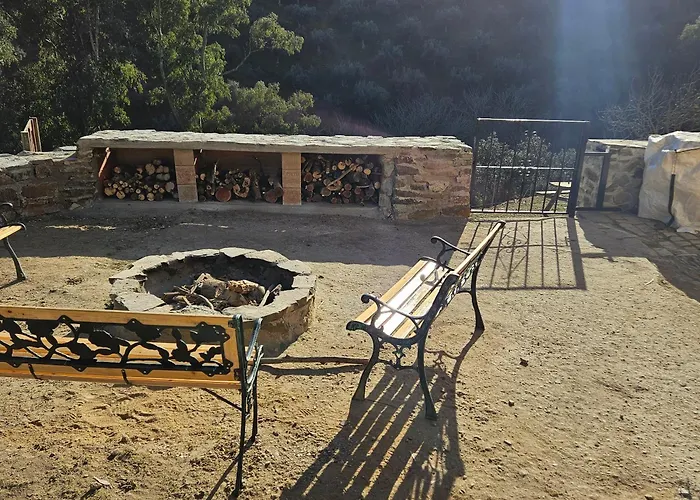 Experience Alpacas In Andalucia *