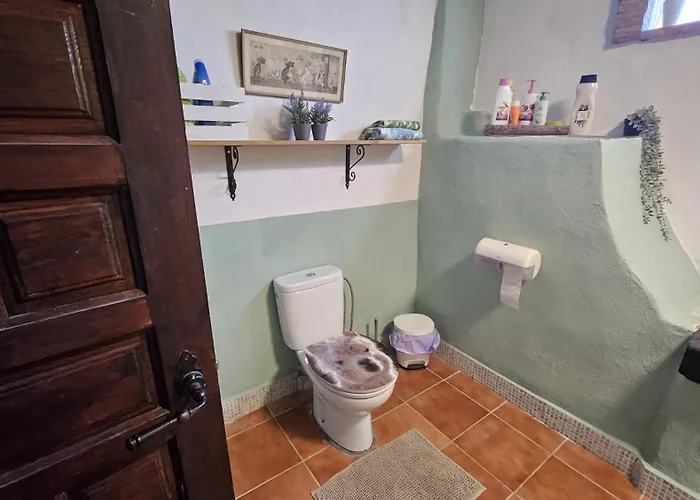 Experience Alpacas In Andalucia Landhaus