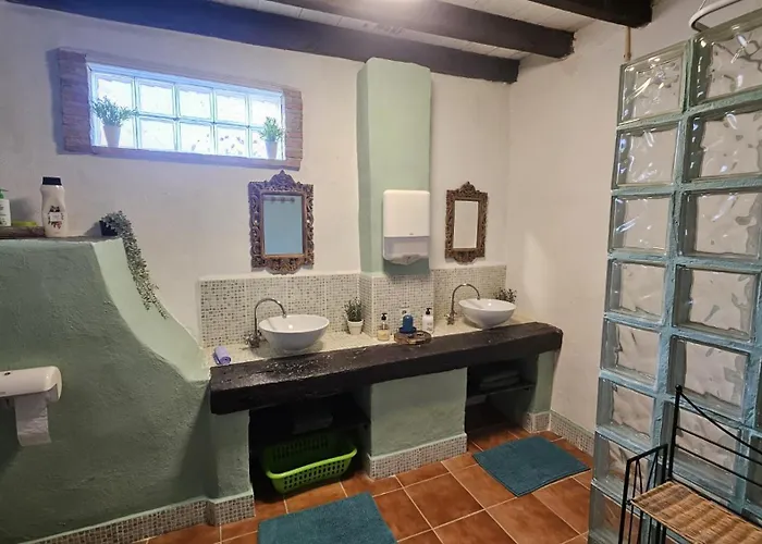 Experience Alpacas In Andalucia Landhaus Córdoba