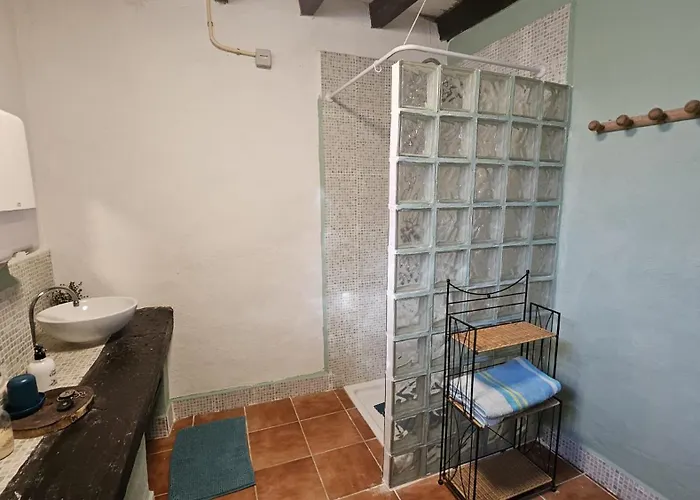 Experience Alpacas In Andalucia *