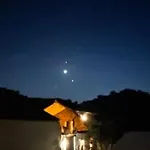 Experience Alpacas In Andalucia Séjour à la campagne