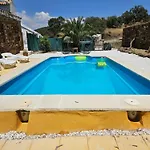 Experience Alpacas In Andalucia