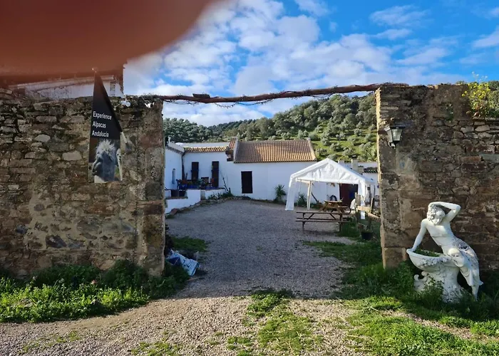 乡村民宿 Experience Alpacas In Andalucia
