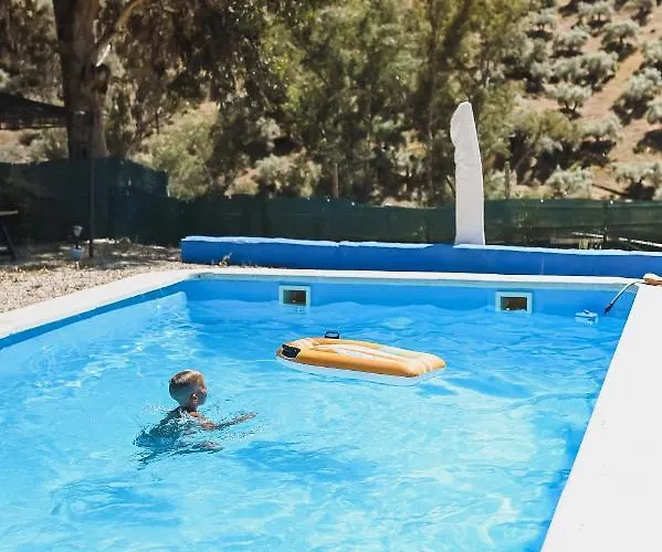 乡村民宿 Experience Alpacas In Andalucia