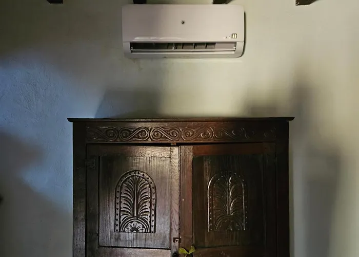 Experience Alpacas In Andalucia *