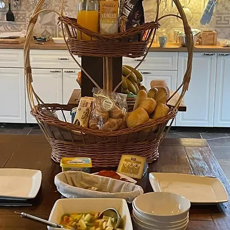 Experience Alpacas In Andalucia カントリーハウス *