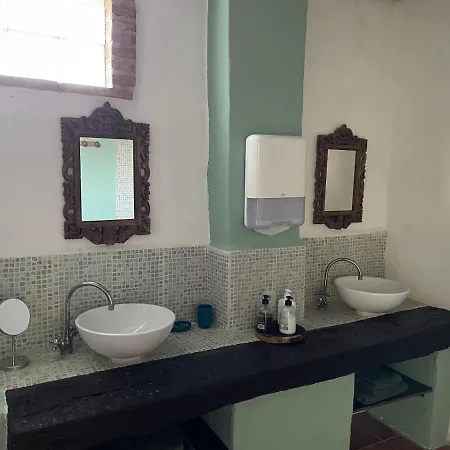 Experience Alpacas In Andalucia * コルドバ