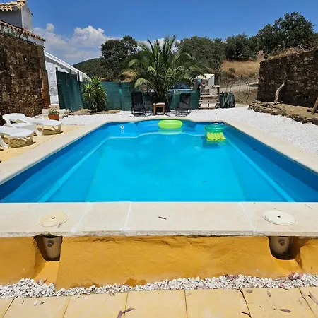 Experience Alpacas In Andalucia